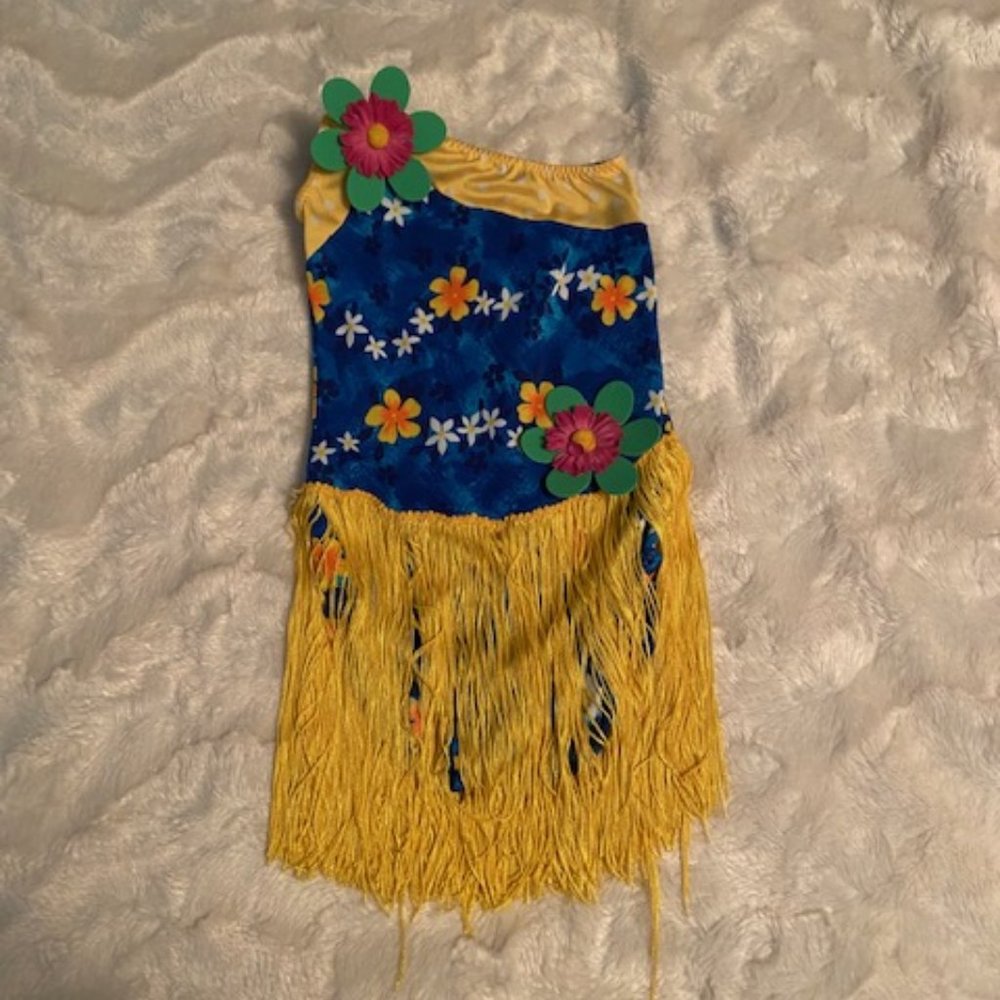 Leo's Dancewear Hawaiian Hula Dance Halloween Costume